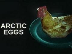 Arctic Eggs (アークティック・エッグス)