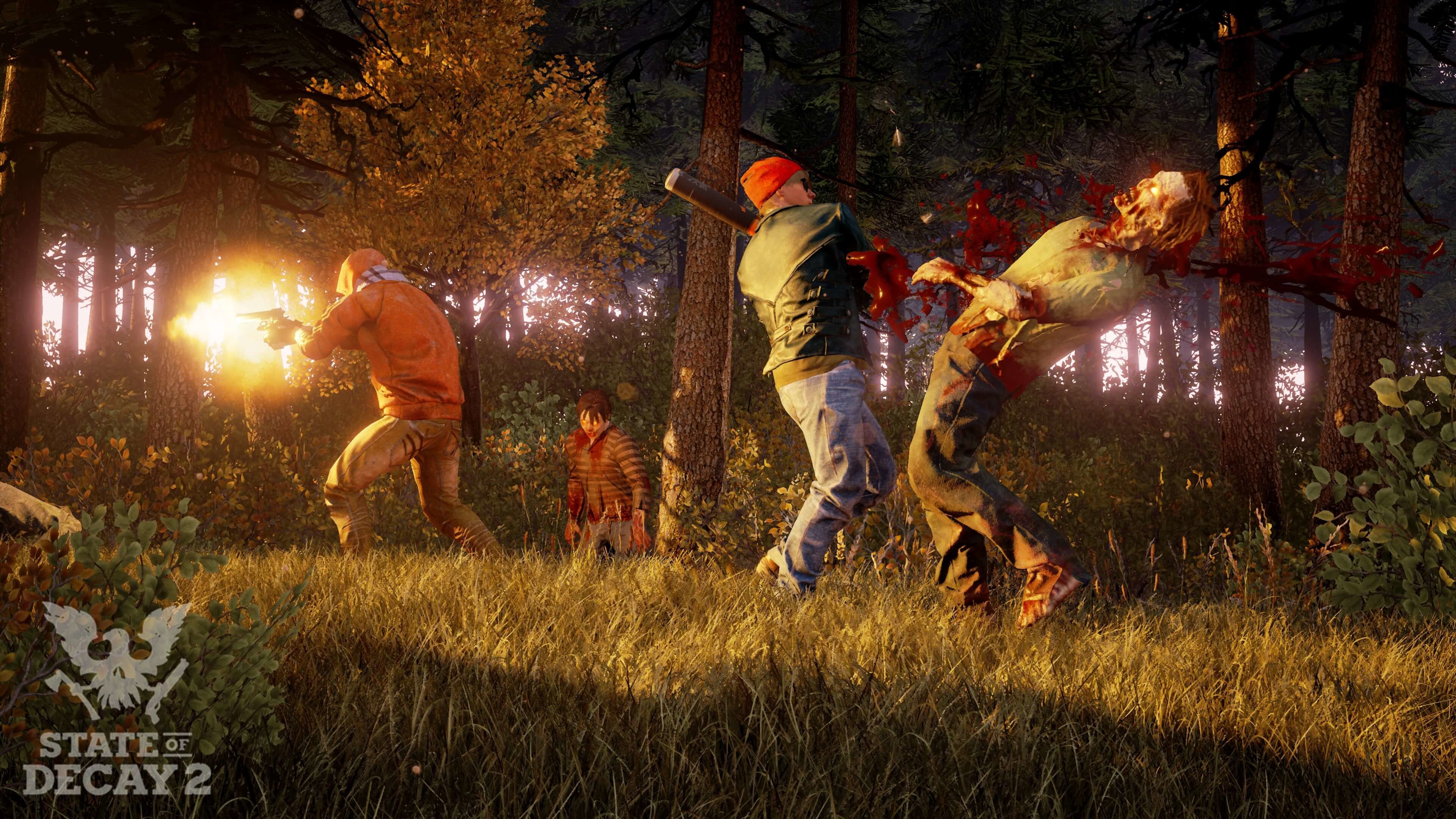 「State of Decay 2」マルチプレイのイメージ画像②