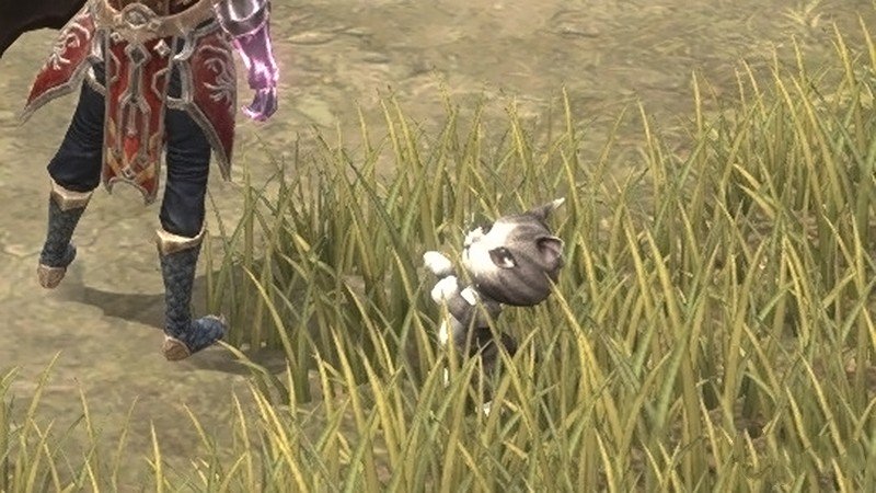 「MU LEGEND」所持しているペットの種類と数に応じてステータスが向上