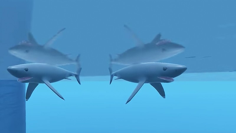 クラーケンに登場するサメ