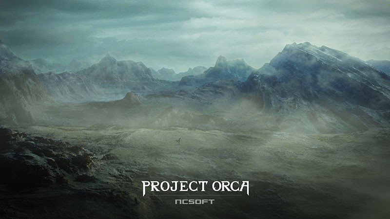 Project ORCAのタイトル画像