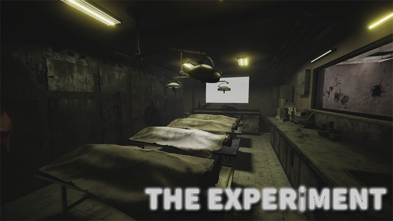 『The Experiment: Escape Room』のタイトル画像