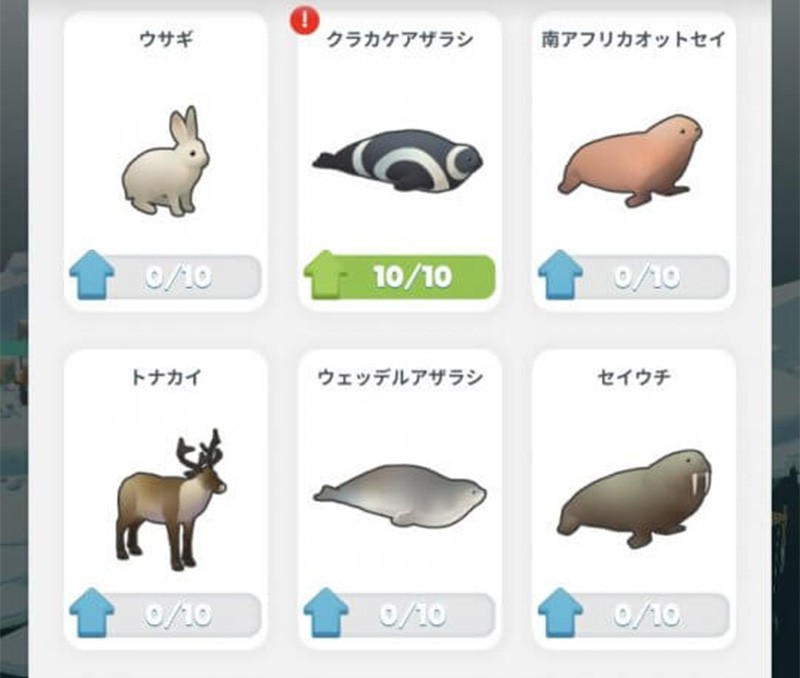 【ペンギンの島】30種類以上にも及ぶペンギンたちで癒されよう