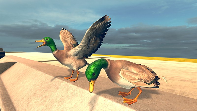複数の鳥をアンロックできる『Bird Simulator』