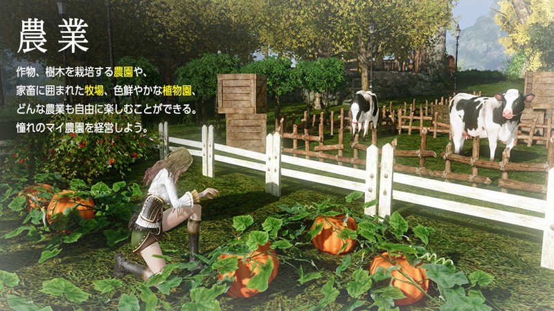 『アーキエイジ』自分のペースで楽しめる生産系コンテンツが充実