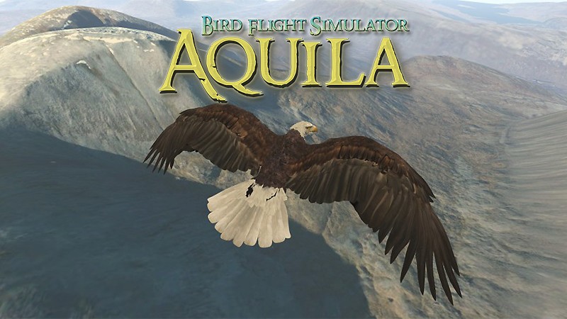 『Aquila Bird Flight Simulator』のタイトル画像