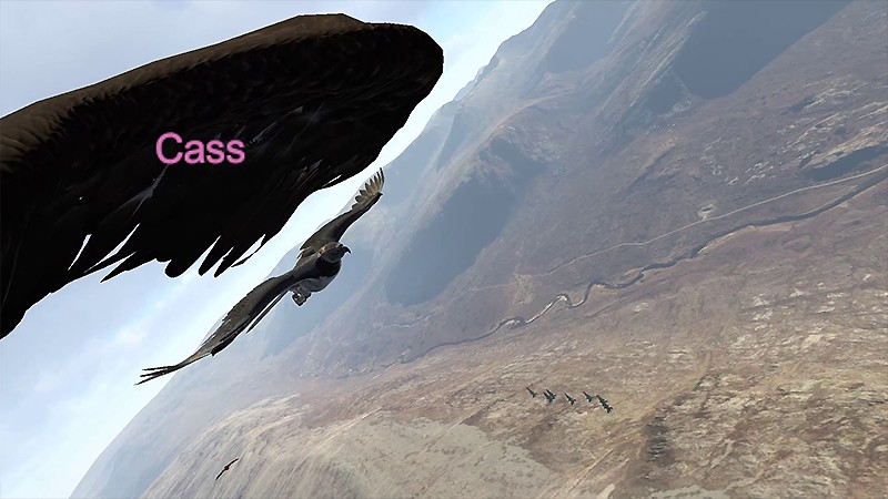 マルチプレイにも対応する『Aquila Bird Flight Simulator』