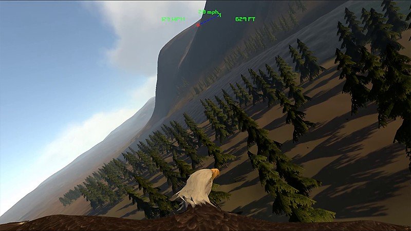 ワシを操作して飛行できる『Aquila Bird Flight Simulator』