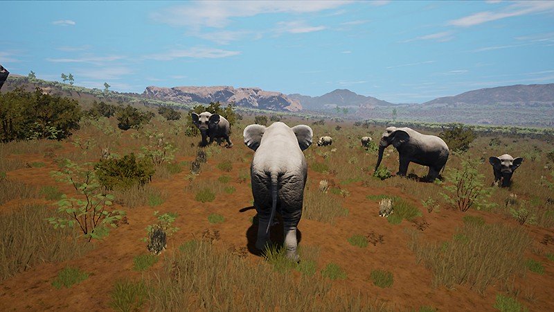 早期アクセス版の段階にある『The Savana』