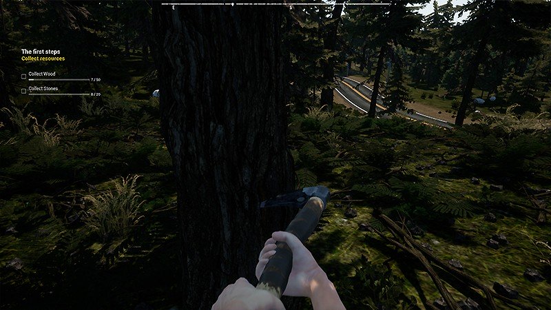 早期アクセス版の段階にある『Survival: Lost Way』