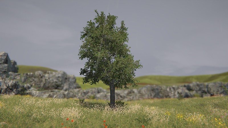 「木」になった自分を鑑賞できる『Tree Simulator 2022』