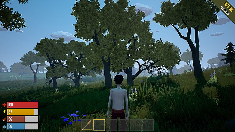 早期アクセス版の段階にある『BEACHED』