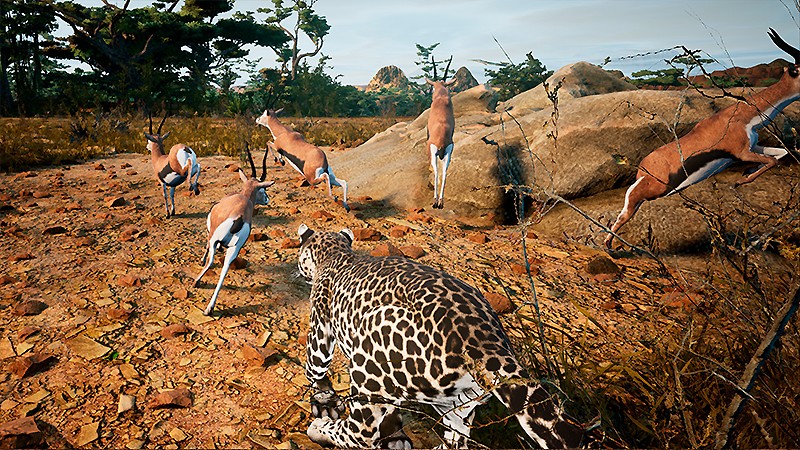 2種類のゲームモードで遊べる『Animalia Survival』