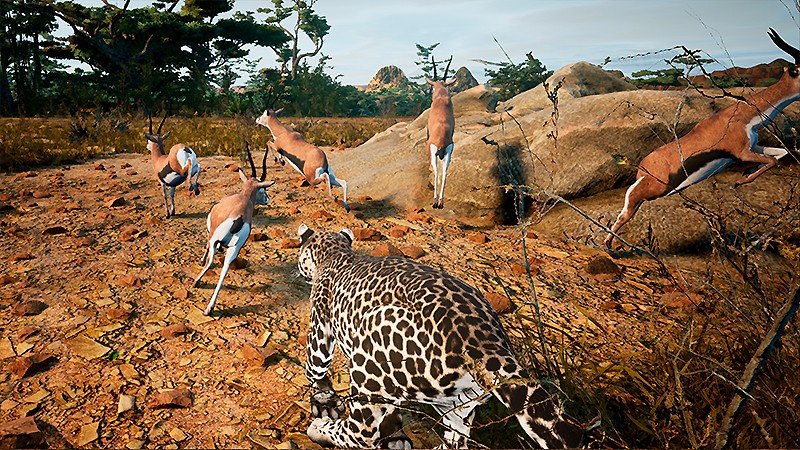 2種類のゲームモードで遊べる『Animalia Survival』