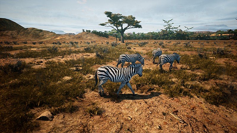 正式版が待たれる『Animalia Survival』