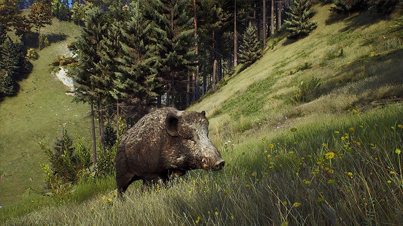 多数の野生生物が登場する『Way of the Hunter』