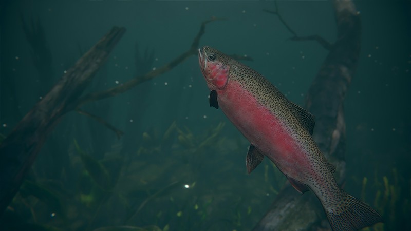 早期アクセス版の『Ultimate Fishing Simulator 2』