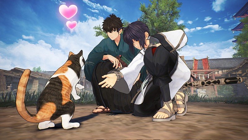 犬猫と触れ合える
