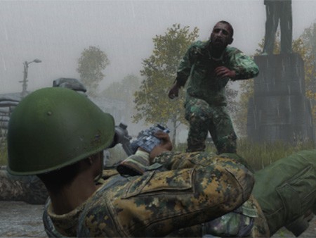 デイジ（DayZ） 画像