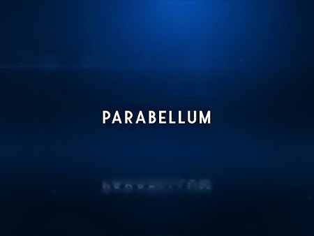 パラベラム ベータ