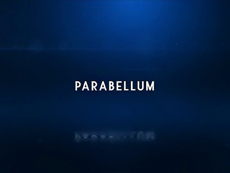 パラベラム ベータ